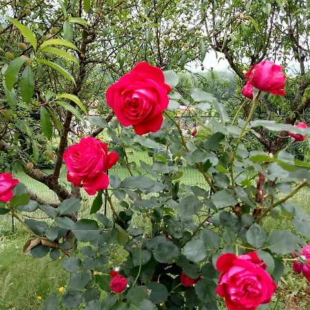 Lägenhet Etxe Xuri Ossès