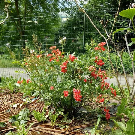 Lägenhet Etxe Xuri *